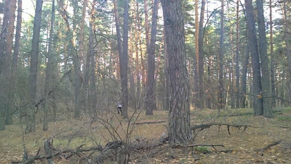 Черкаський Бишкин з panoramio.com - Черкаський Бишкин