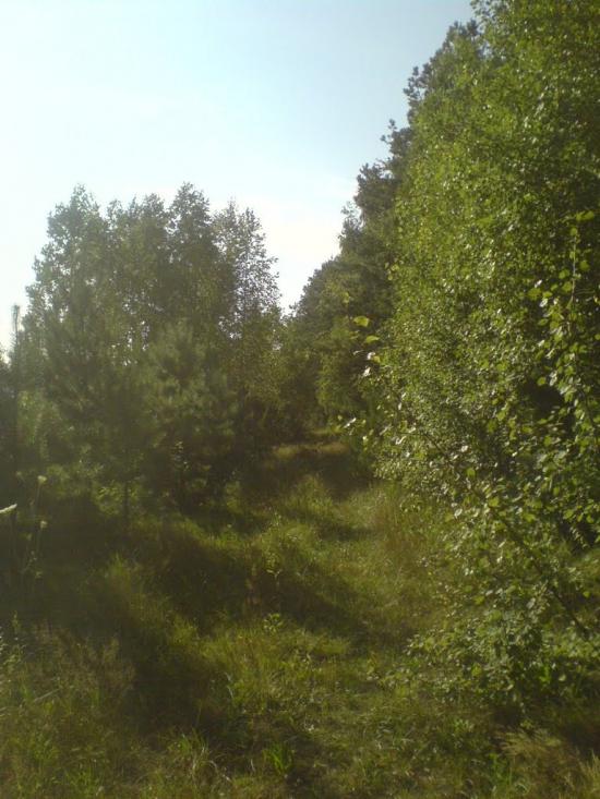 Єлівка з panoramio.com - Єлівка