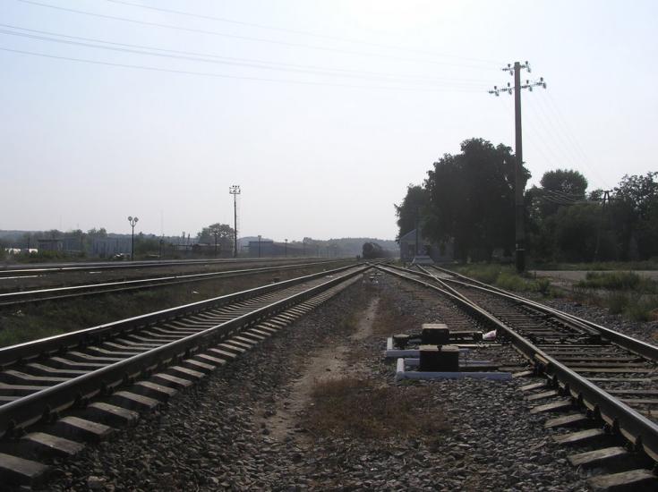 Павлиш з panoramio.com - Павлиш