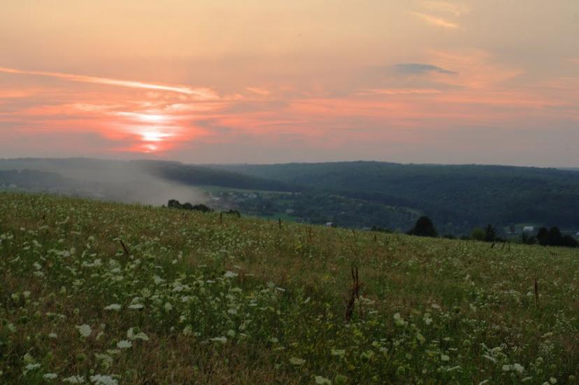 Браїлівка з panoramio.com - Брайловка