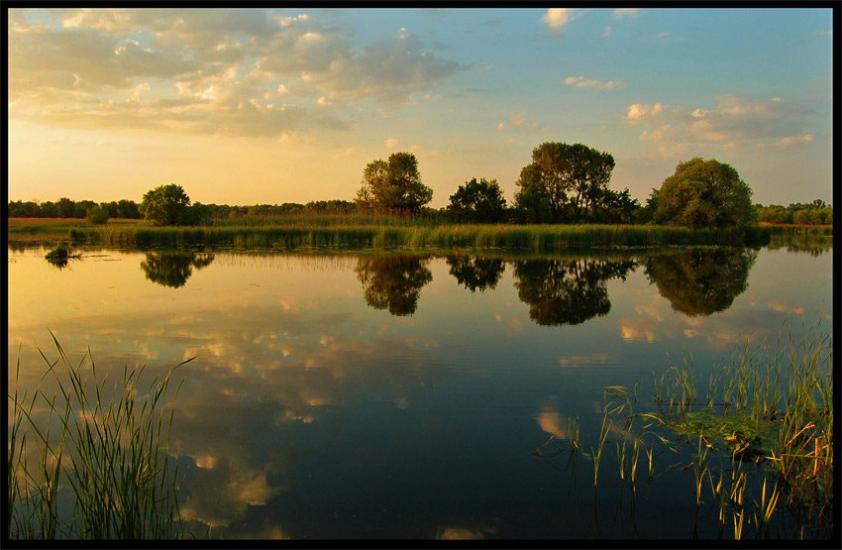 Дзержинське з panoramio.com - Дзержинське