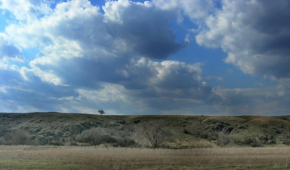 Недайвода з panoramio.com - Недайвода