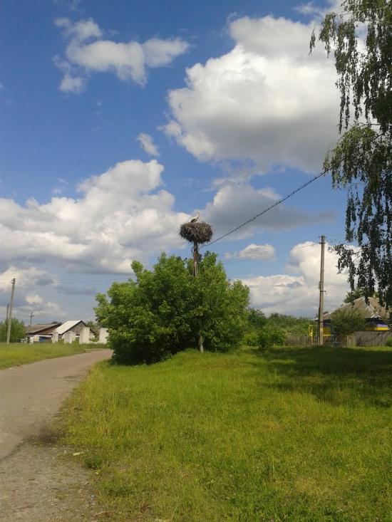 Вокзал-Городня з panoramio.com - Вокзал-Городня