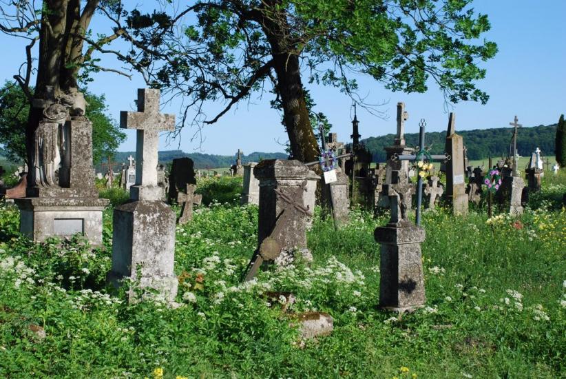 Сасів з panoramio.com - Сасов