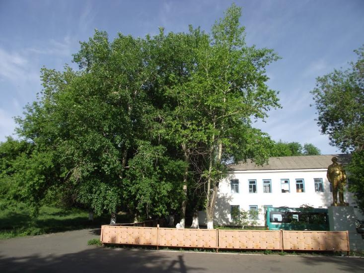 Червонопартизанськ з panoramio.com - Червонопартизанськ