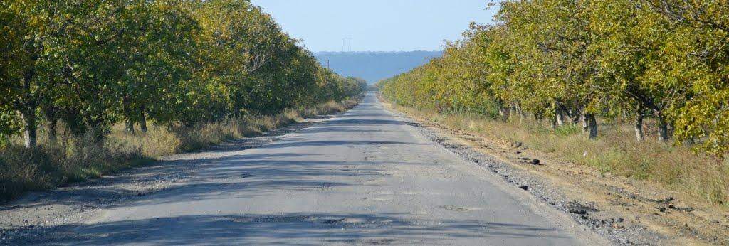 Матишівка з panoramio.com - Матышевка