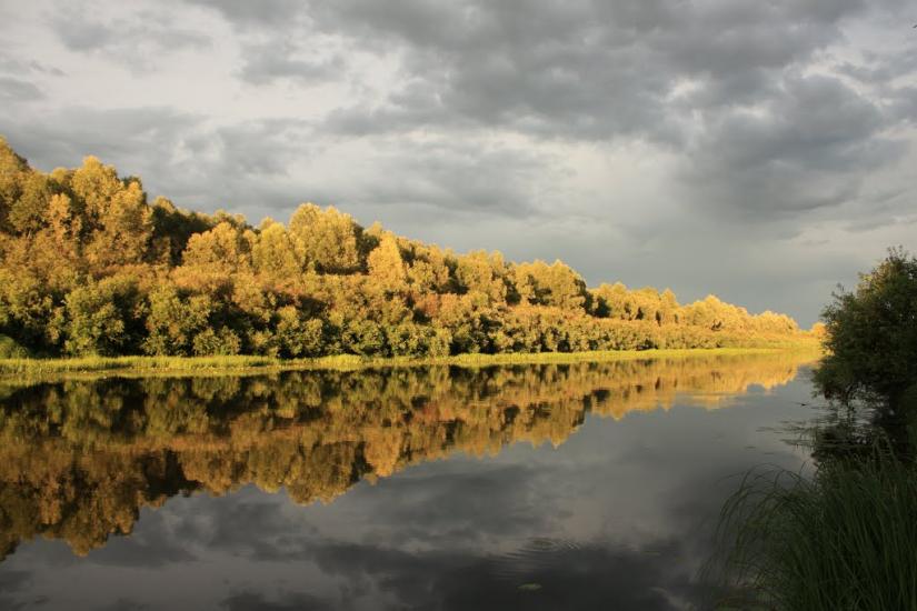 Снов'янка з panoramio.com - Сновянка