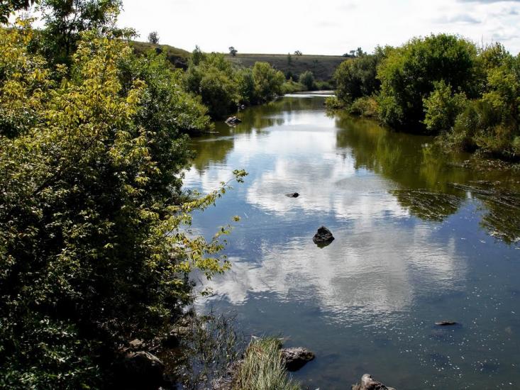 Недайвода з panoramio.com - Nedayvoda