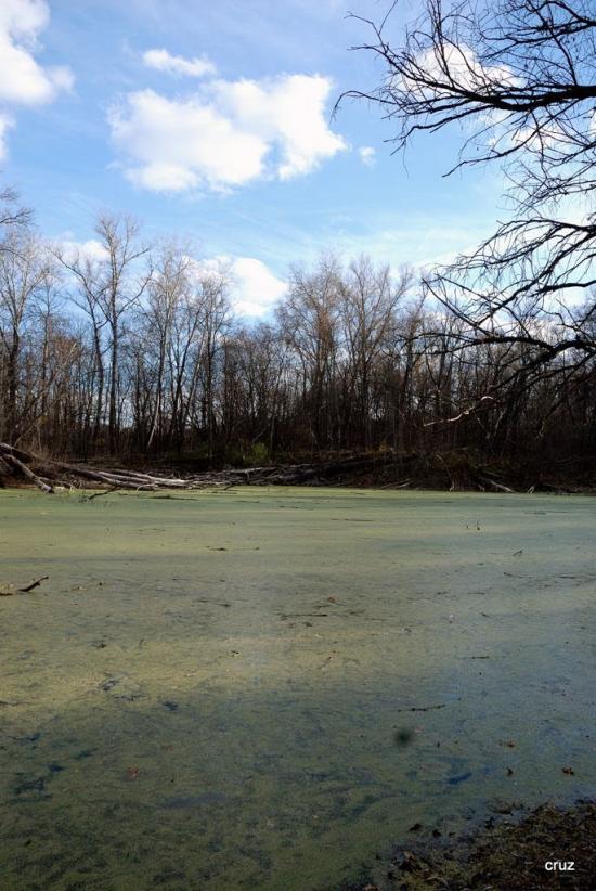 Великий Тростянець з panoramio.com - Великий Тростянец