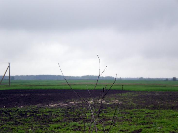 Облапи з panoramio.com - Oblapy