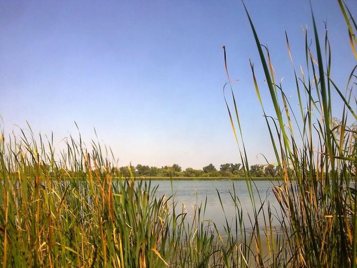 Кринки з panoramio.com - Крынки