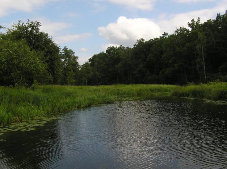 Струмок з panoramio.com - Струмок