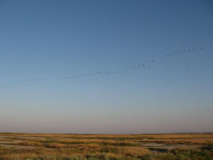 Генічеськ з panoramio.com - Геническ