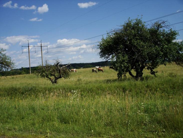 Пришивальня з panoramio.com - Пришивальня