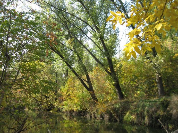 Троїцько-Харцизьк з panoramio.com - Троїцько-Харцизьк