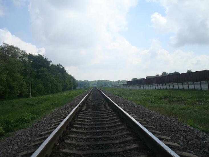 Нестерівці з panoramio.com - Нестеровцы