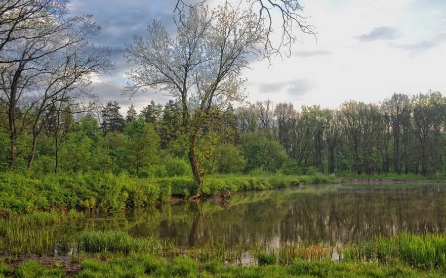 Комсомольський з panoramio.com - Графское