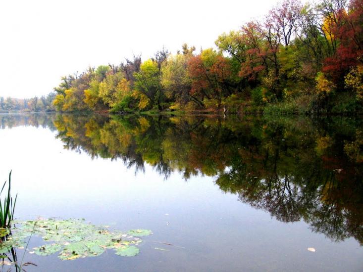 Пискунівка з panoramio.com - Pyskunivka