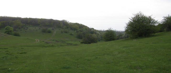 Придніпрянське з panoramio.com - Придніпрянське
