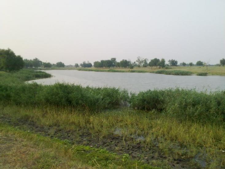 Іванівка з panoramio.com - Ивановка