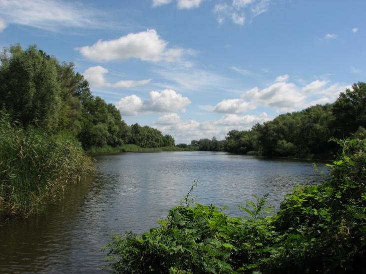 Потоки з panoramio.com - Потоки