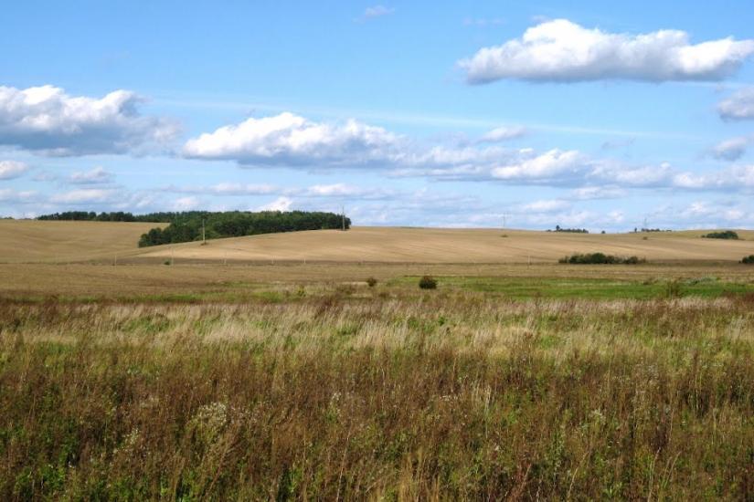 Іскра з panoramio.com - Іскра