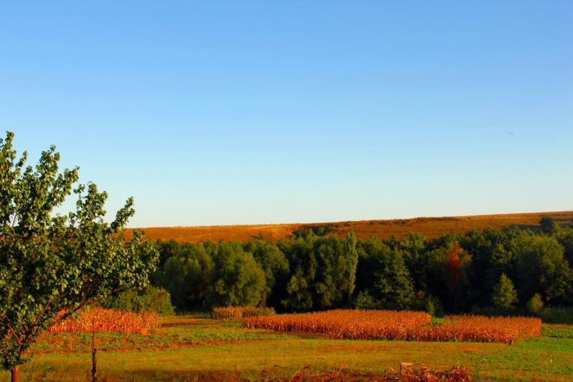 Осіївка з panoramio.com - Осіївка