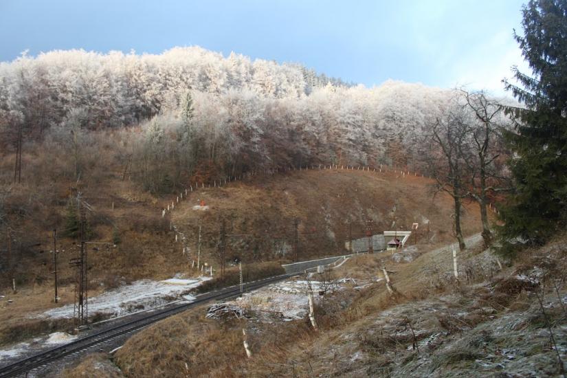 Скотарське з panoramio.com - Скотарское