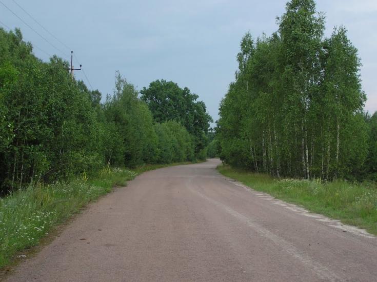Струмок з panoramio.com - Струмок