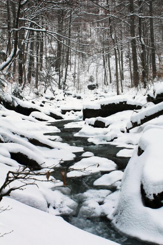 Лумшори з panoramio.com - Лумшори