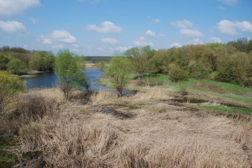Байрак з panoramio.com - Байрак