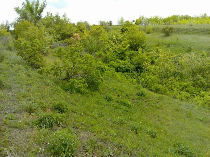 Фрунзівка з panoramio.com - Фрунзівка