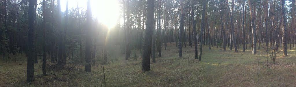 Коропове з panoramio.com - Коропово