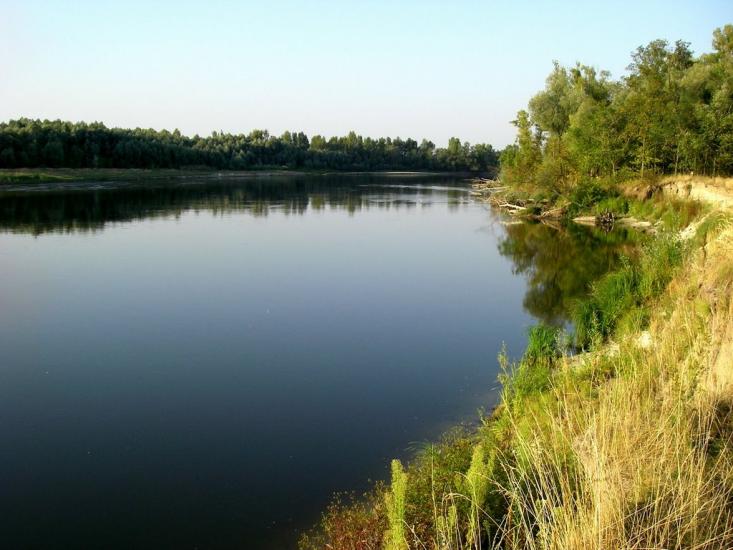 Вища Дубечня з panoramio.com - Высшая Дубечня