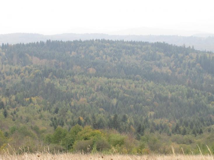 Опака з panoramio.com - Opaka