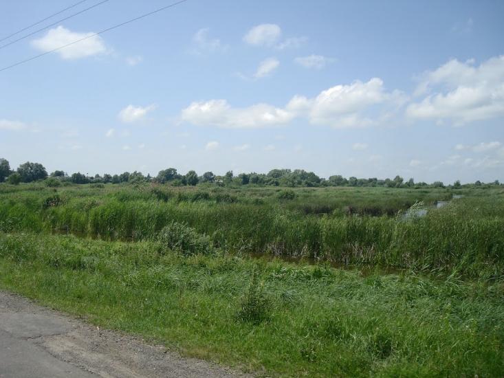 Грузевиця з panoramio.com - Грузевиця