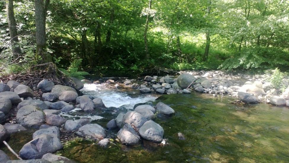 Осій з panoramio.com - Осой