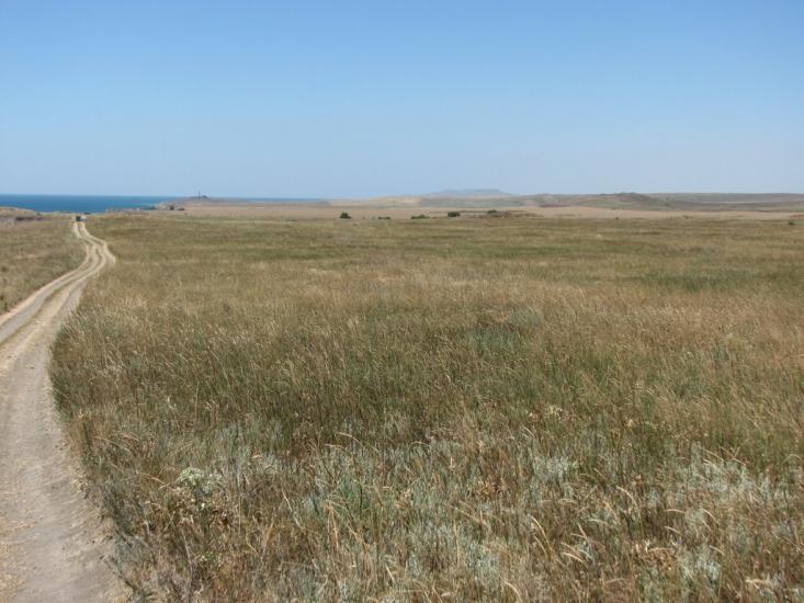 Набережне з panoramio.com - Набережне