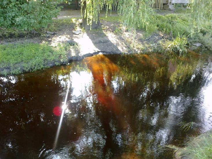 Камінь-Каширський з panoramio.com - Камінь-Каширський