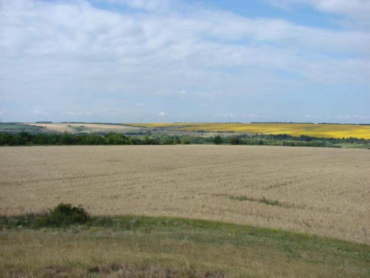 Балахівка з panoramio.com - Балаховка