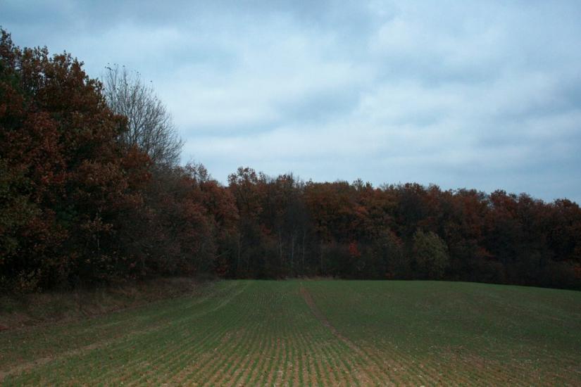 Верхівка з panoramio.com - Верховка