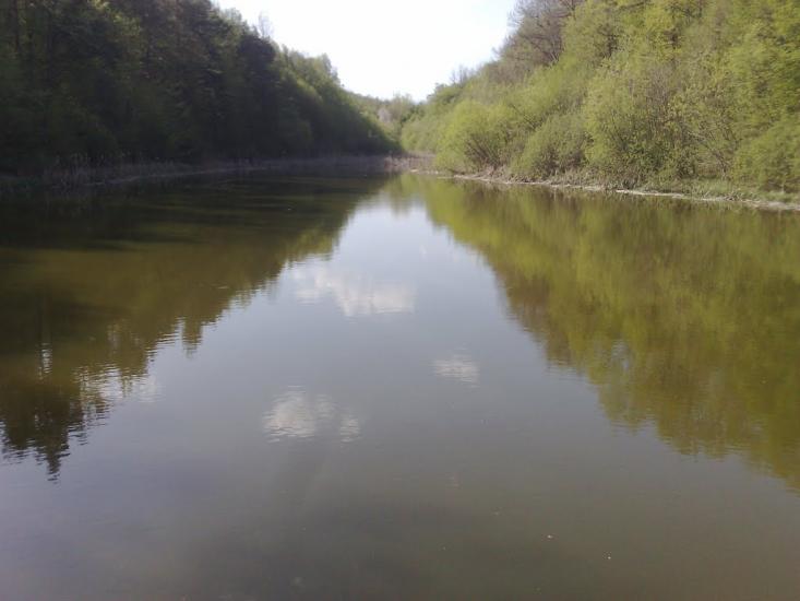 Шарапанівка з panoramio.com - Шарапанівка