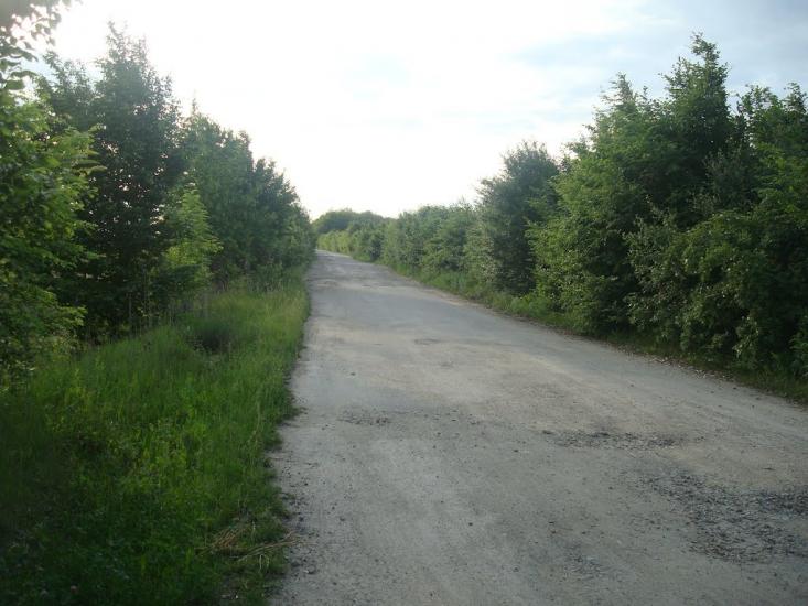 Ставчани з panoramio.com - Ставчаны