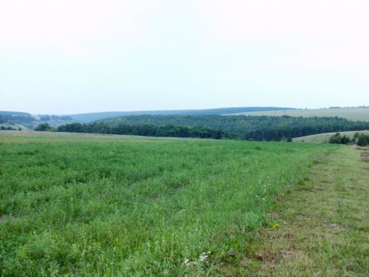 Любомирівка з panoramio.com - Любомировка