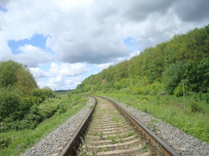 Жищинці з panoramio.com - Жищинці