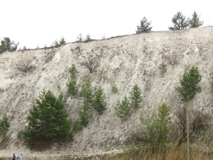 Крива Лука з panoramio.com - Крива Лука