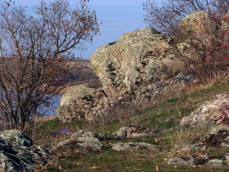 Новорозанівка з panoramio.com - Novorozanivka