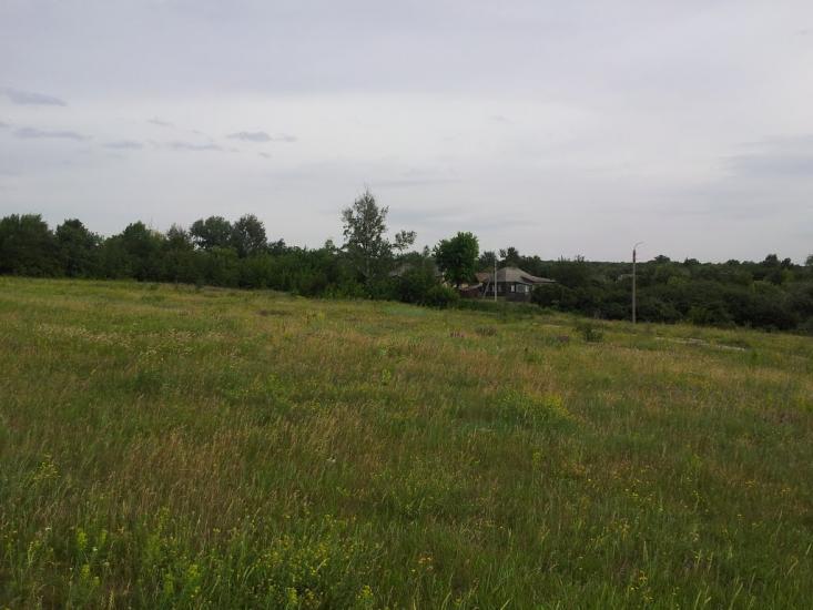 Золоте з panoramio.com - Золотое