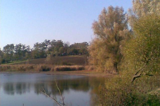 Кищенці з panoramio.com - Kyschentsi