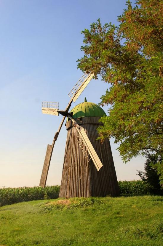 Будище з panoramio.com - Будище